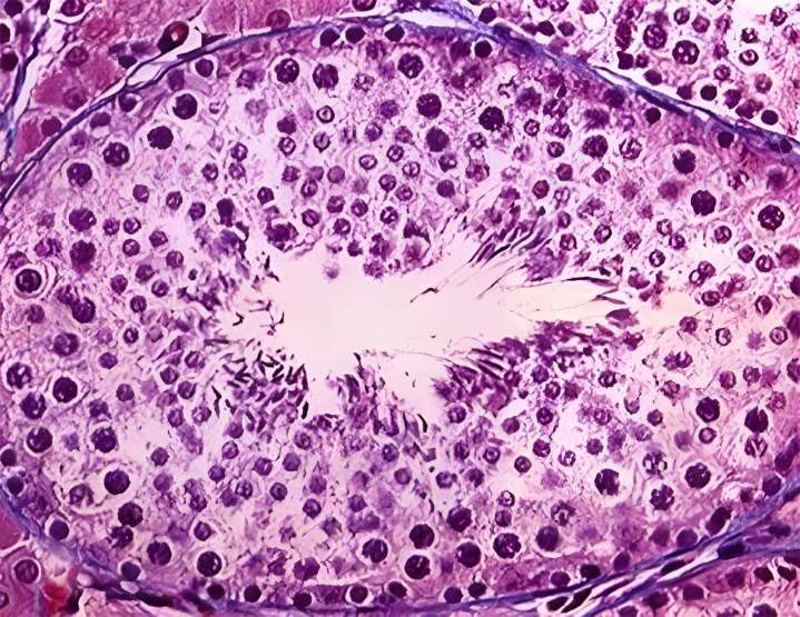 Coaching individuel